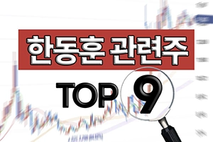 한동훈관련주-대표이미지